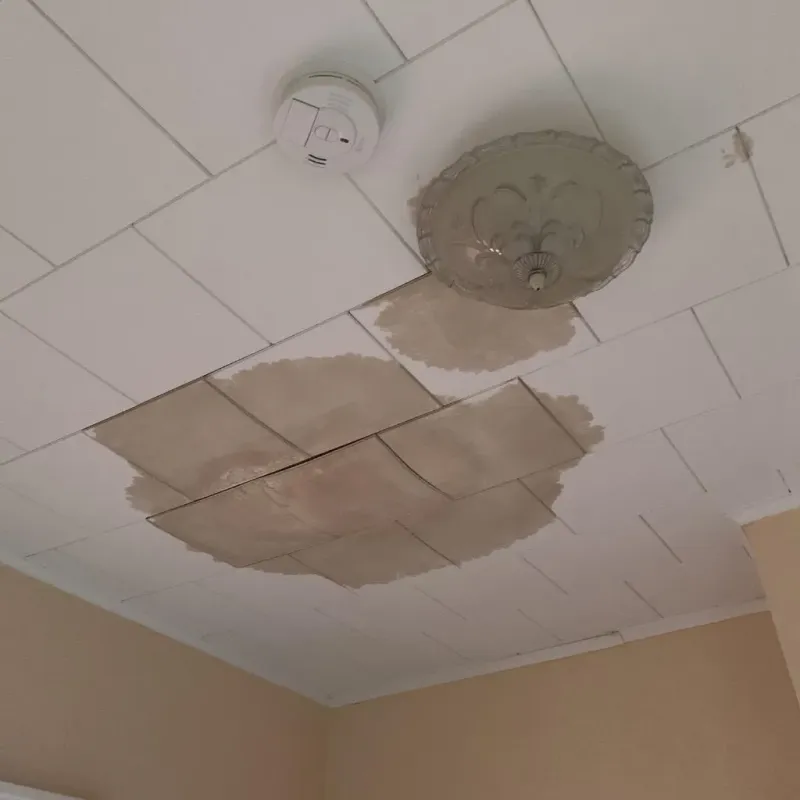 Ceiling Water Damage Repair in Damariscotta, ME