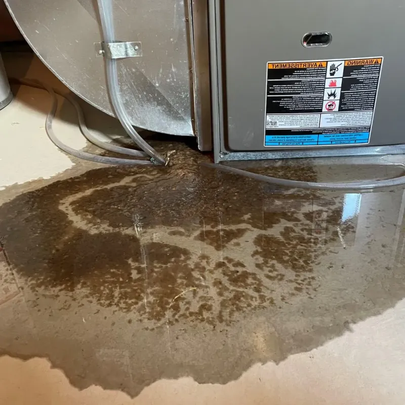 Pipe Burst and Leak Restoration in Damariscotta, ME